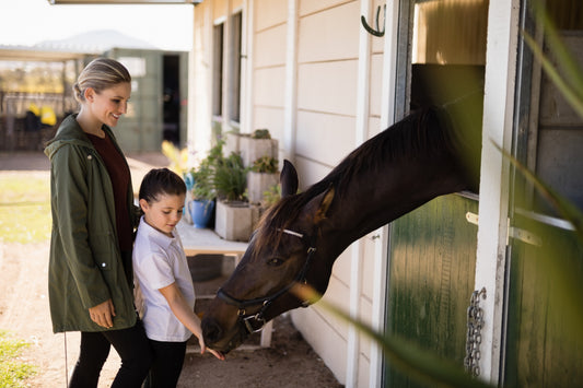 Benefits and uses of Moringa Animal Feed Supplement for horses