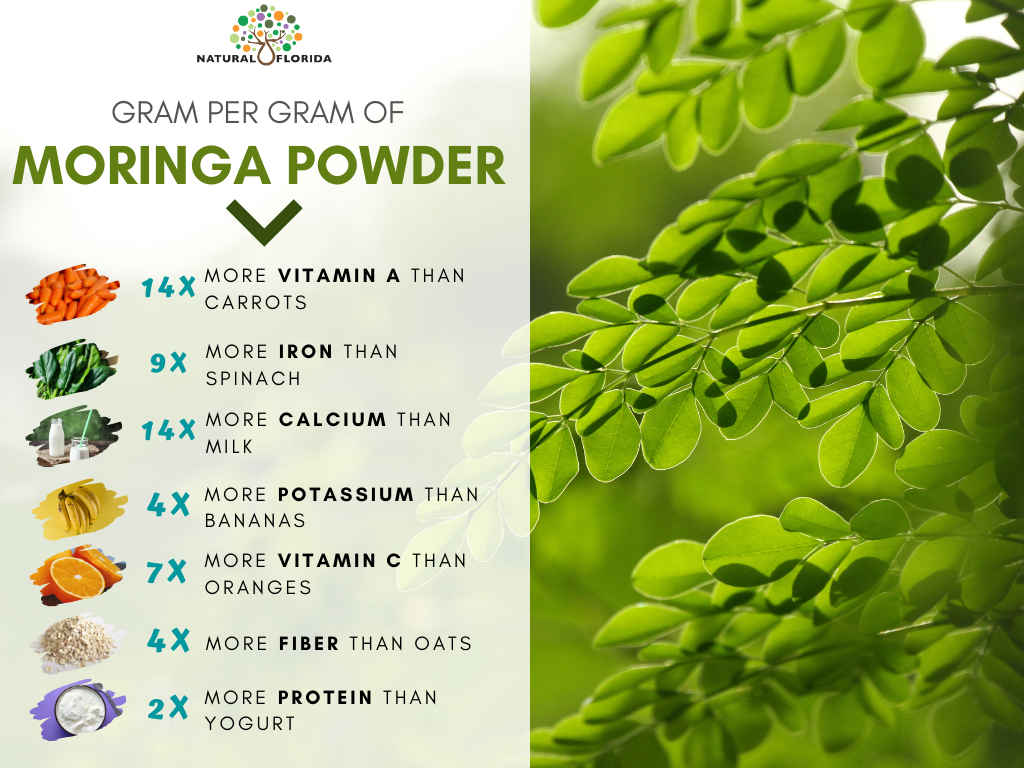 Benefits of moringa leaf powder Natural Florida capsules