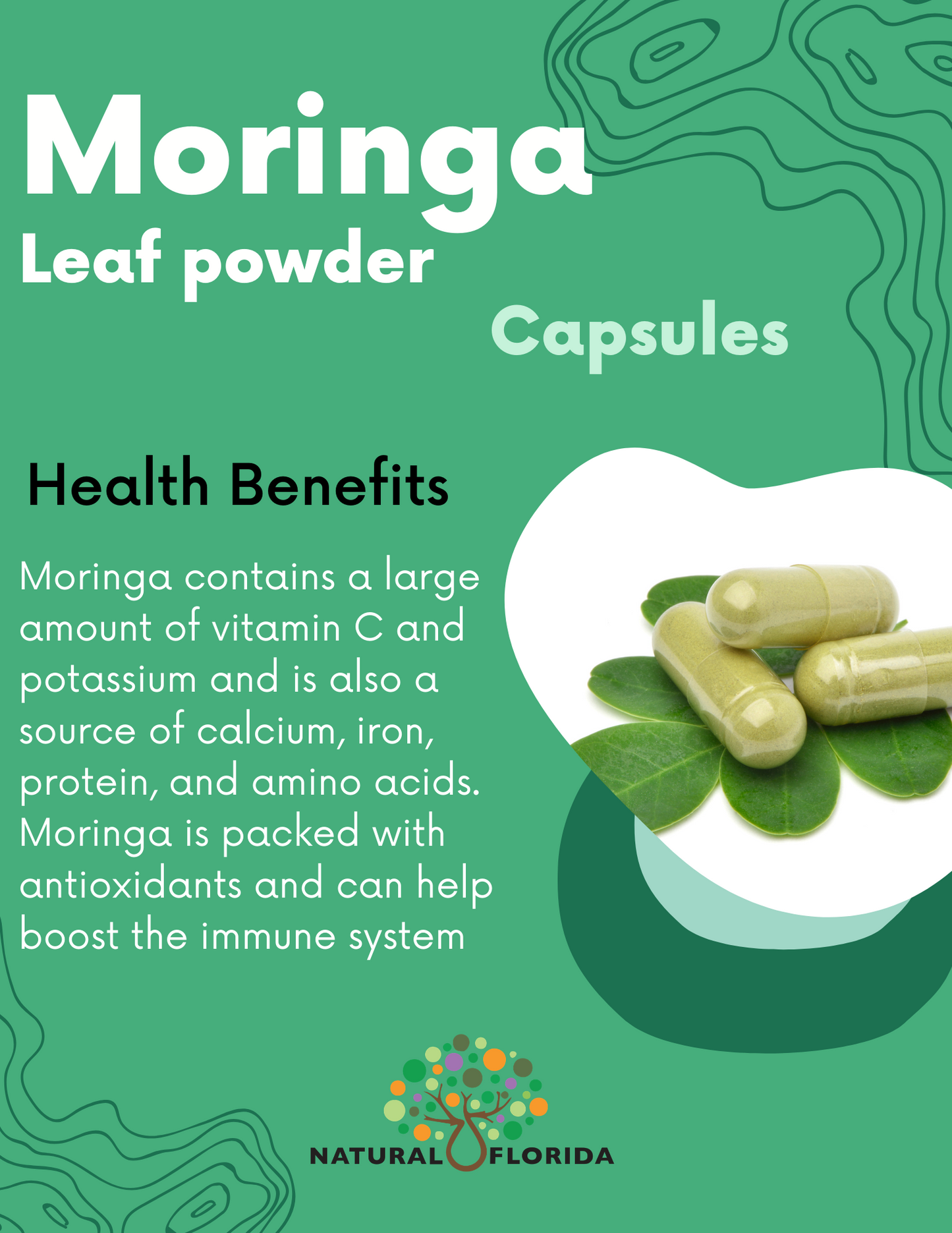 Moringa Oleifera Leaf Powder vegan capsules