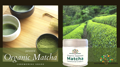 Matcha Ceremonial Grade Tea. Organic. Vegan. nonGMO. FREE Shipping. Natural Florida quality